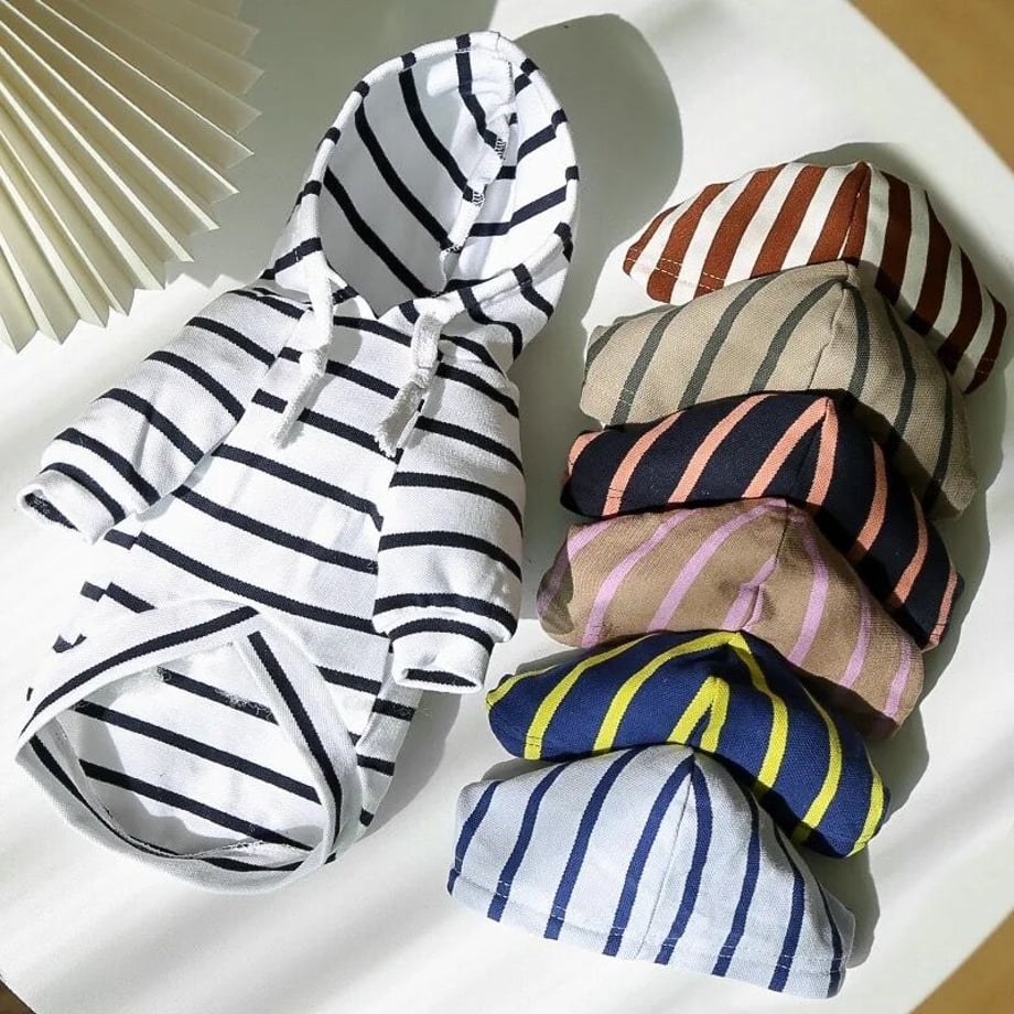 ボーダーカラーフーディー 7パターン