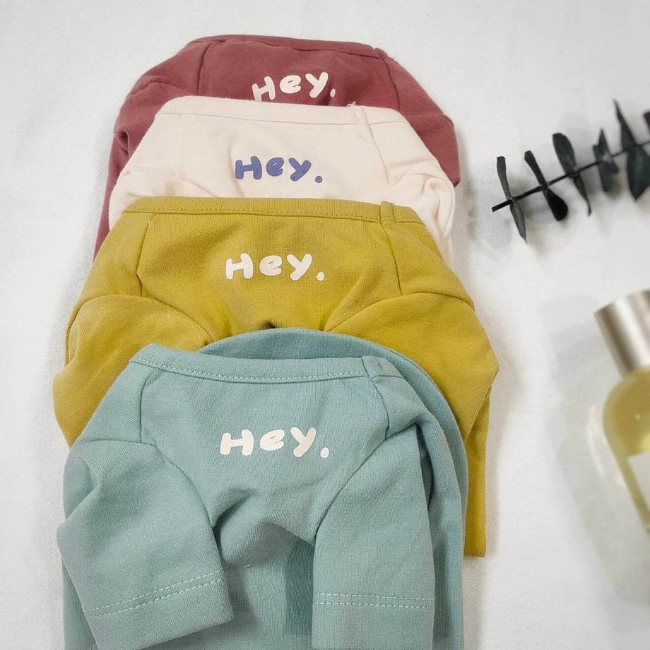 フェイデッドカラーTシャツ