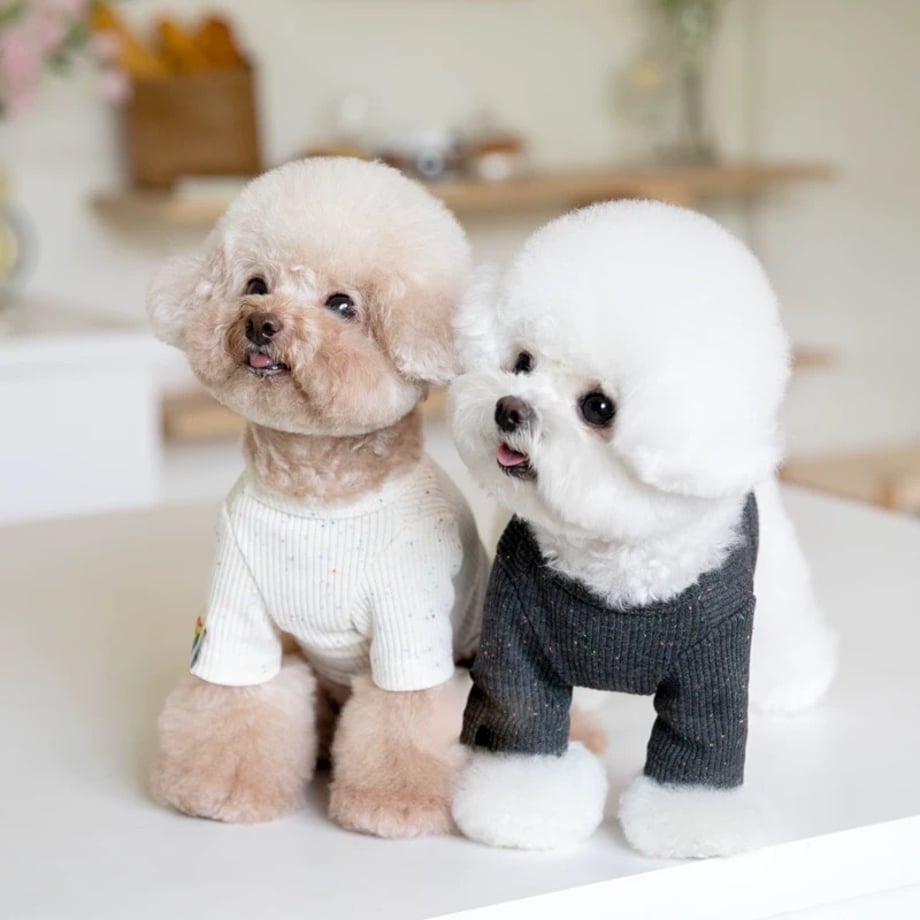 パレットリブTシャツ