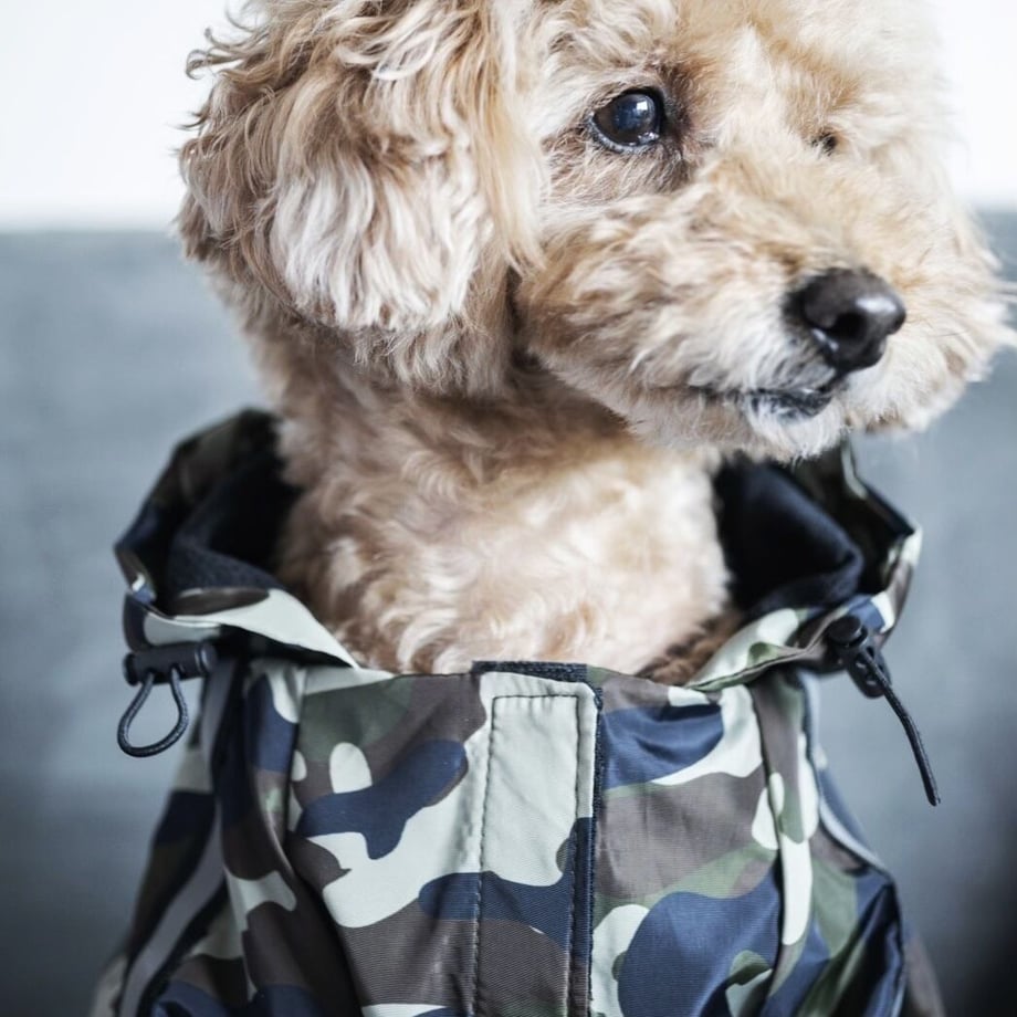 カモフラレインコート