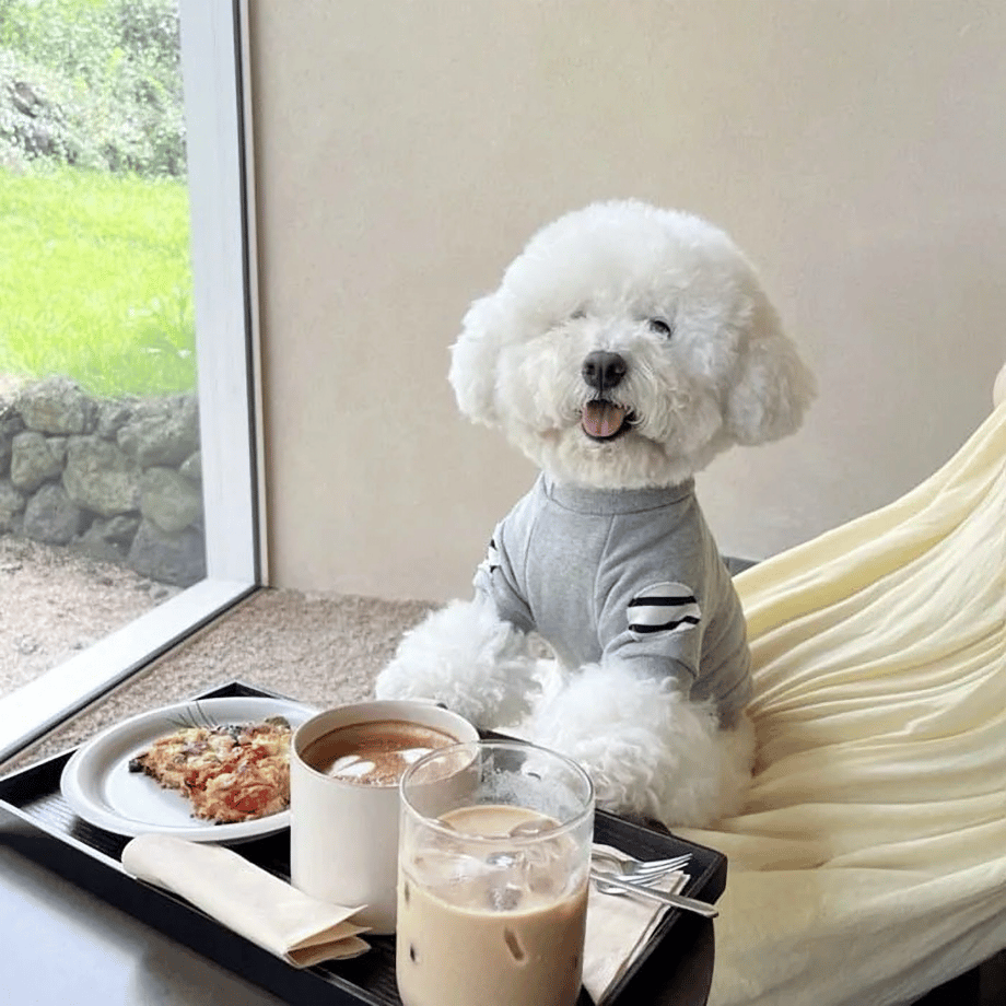 ボーダーパッチスウェット