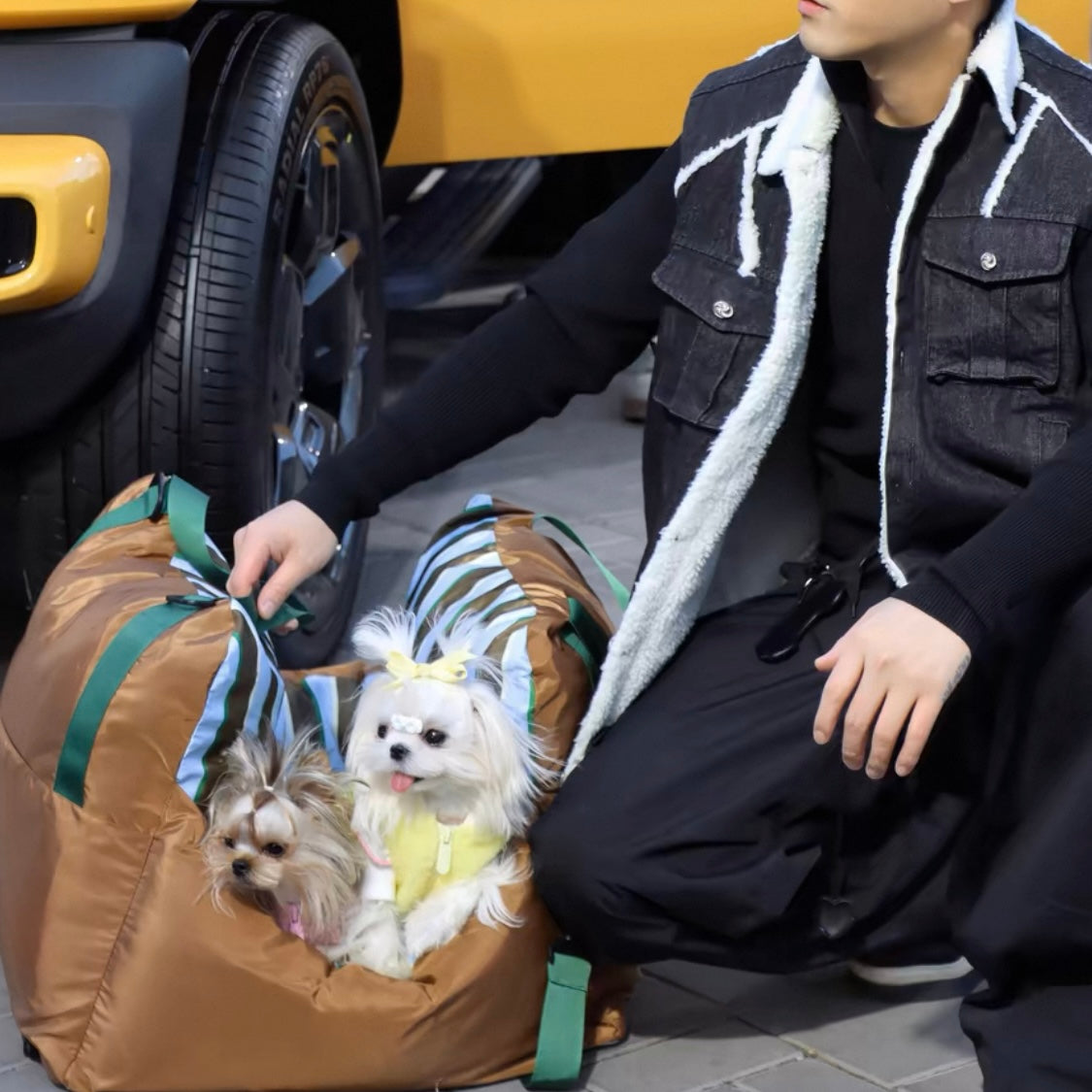 未使用品　オーダー品 ベッドごとキャリー キャリーバッグ　白黒　ストライプ　ペットベッド　犬ベッド 予約販売】ストライプキャリーベッド – D&Liebe