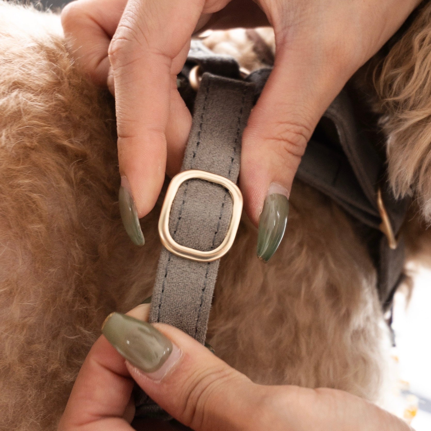 ルクス ハーネス＆リードセット – D&Liebe