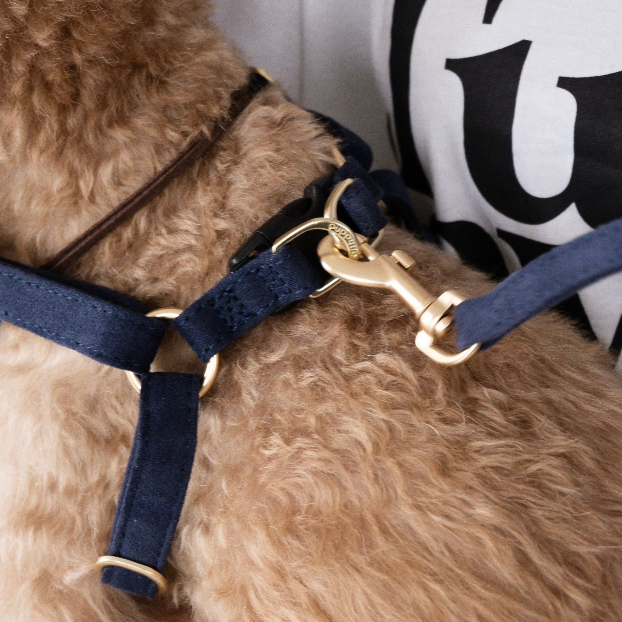 リクエスト商品2点　リーナベル ルクス ハーネス＆リードセット – D&Liebe