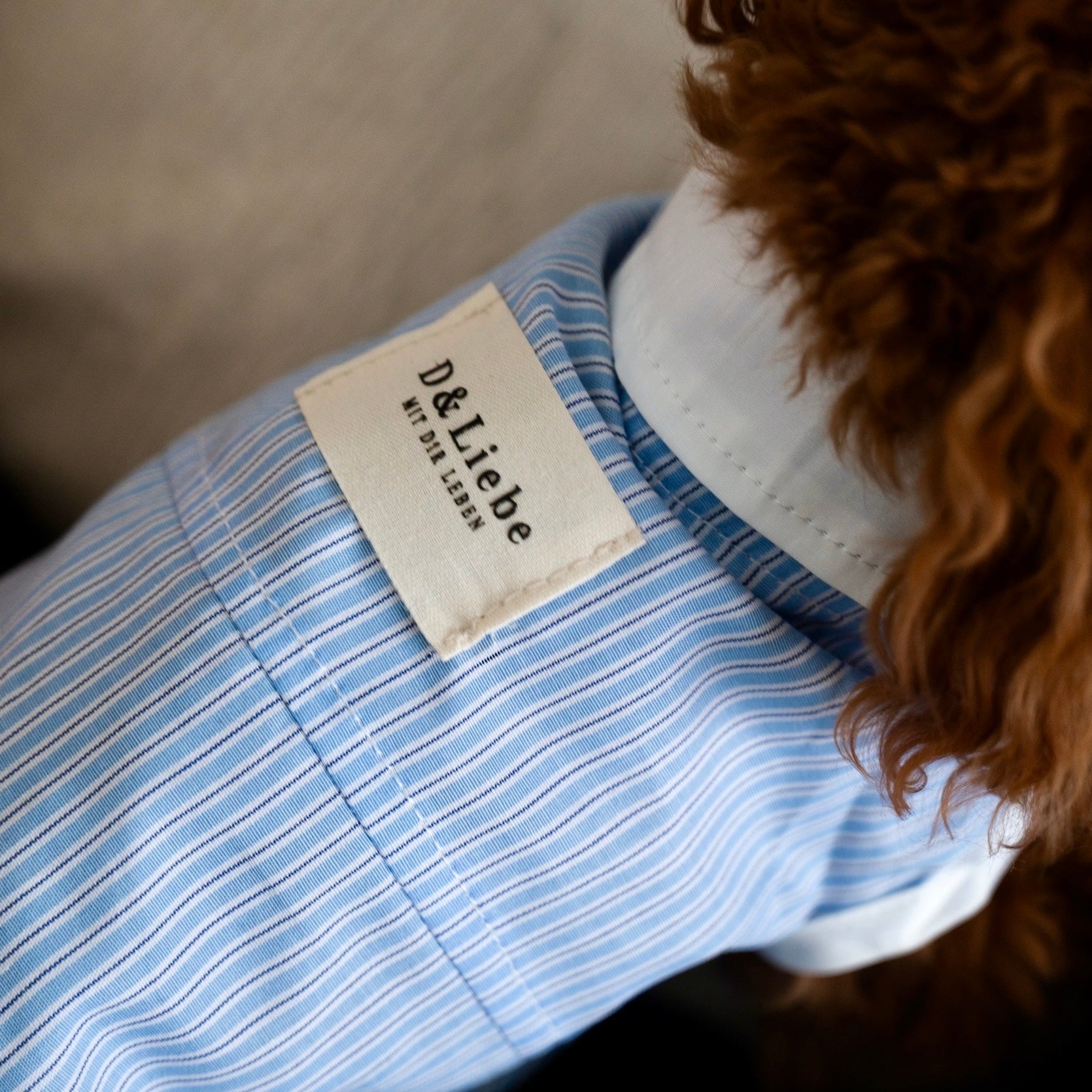 ノースリストライプシャツ – D&Liebe