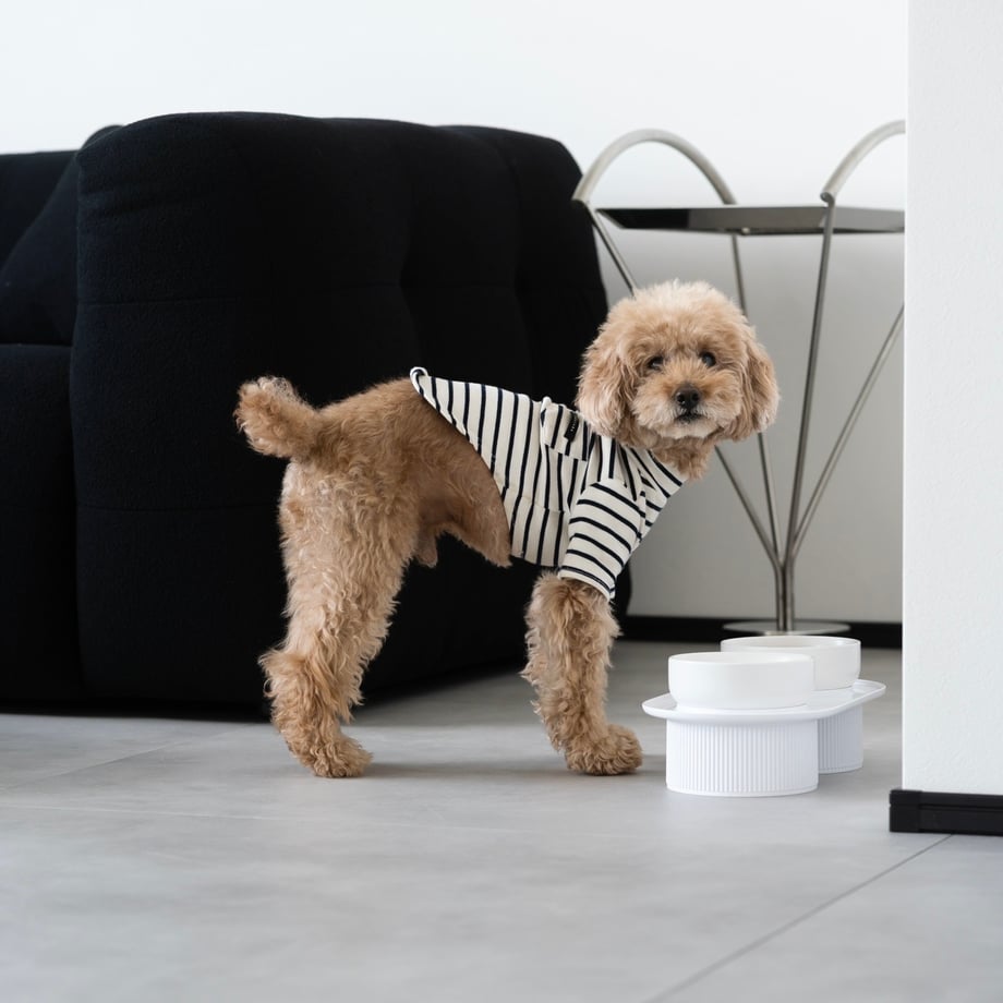 ノーブルフードボウル（シングル/ツイン） – D&Liebe