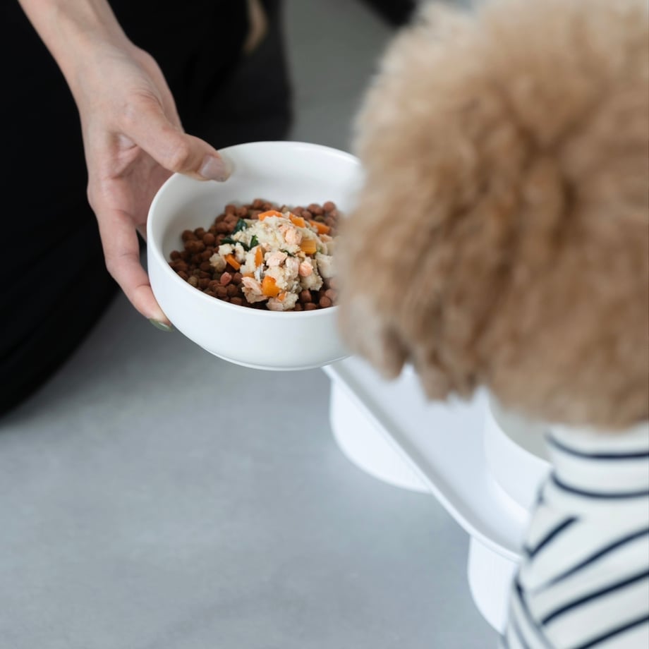 VITAL】- PREMIUM DOG FOOD - – D&Liebe